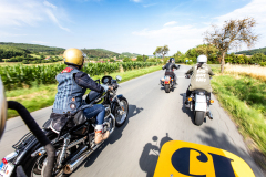 Frey_Jakub_My_BikeGirls