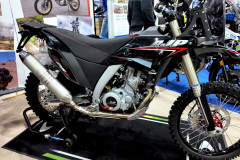MS7