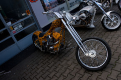 547456133_1244379784370903_7926384388779067571_n